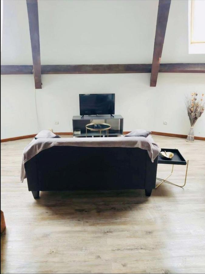 Superbe Appartement Cocooning Proche Des Thermes Віттель Екстер'єр фото